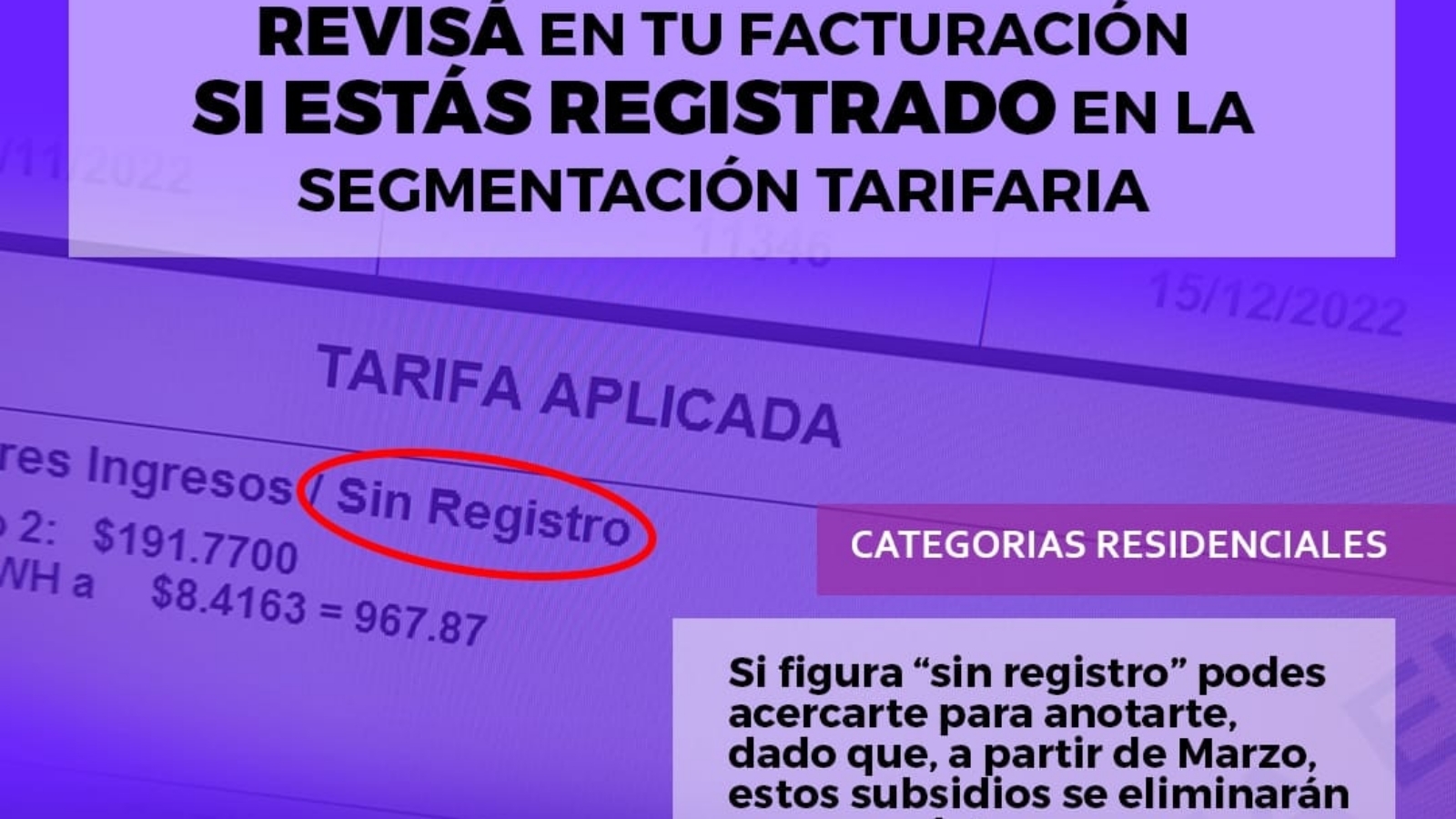 segmentacion-tarifaria-las-flores