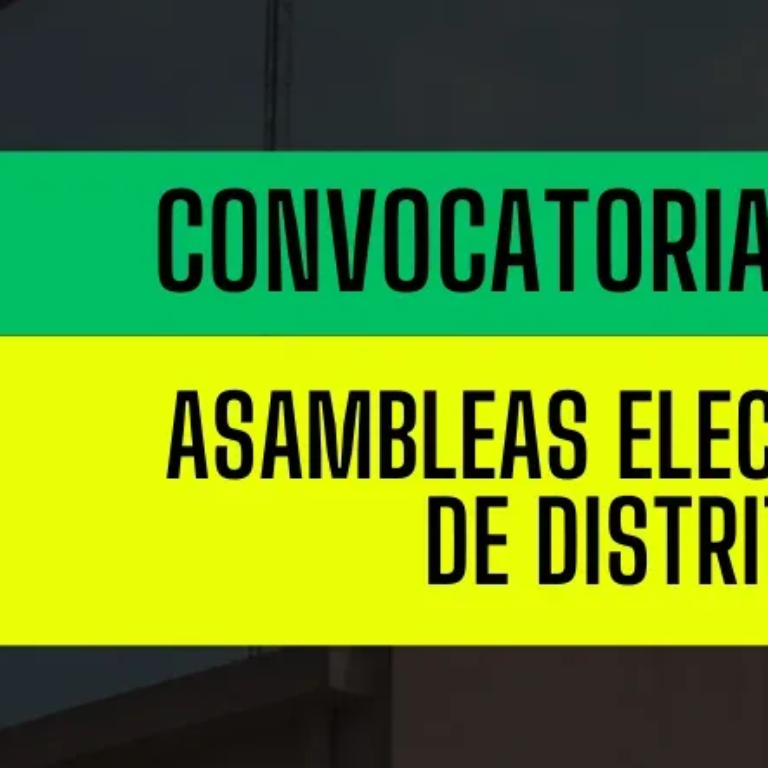 convocatoria-asamblea-elec-dist