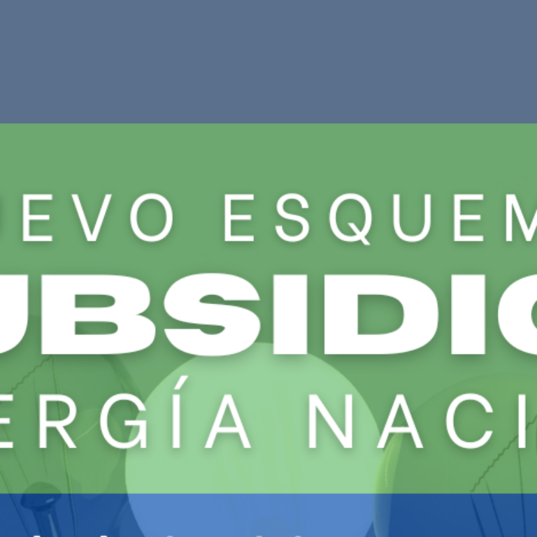 Nuevo-Esquema-Subsidios
