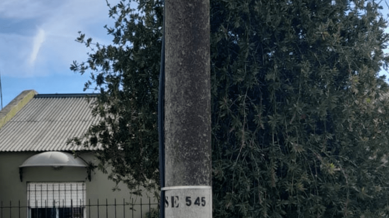 66